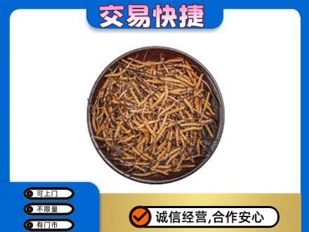 沧州市礼品回收虫草.jpg